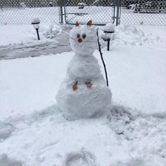 Meet your Posher, Alison - Picture 1 of 1